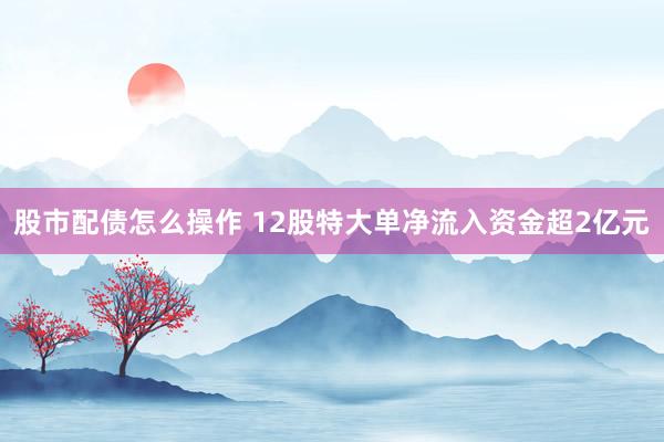 股市配债怎么操作 12股特大单净流入资金超2亿元