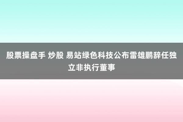 股票操盘手 炒股 易站绿色科技公布雷雄鹏辞任独立非执行董事