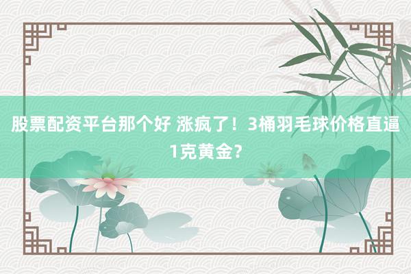 股票配资平台那个好 涨疯了！3桶羽毛球价格直逼1克黄金？